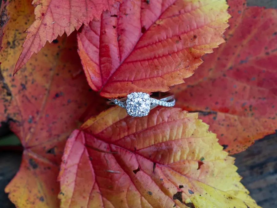 A close up of an engaged couple's hands showing the engagement ring.